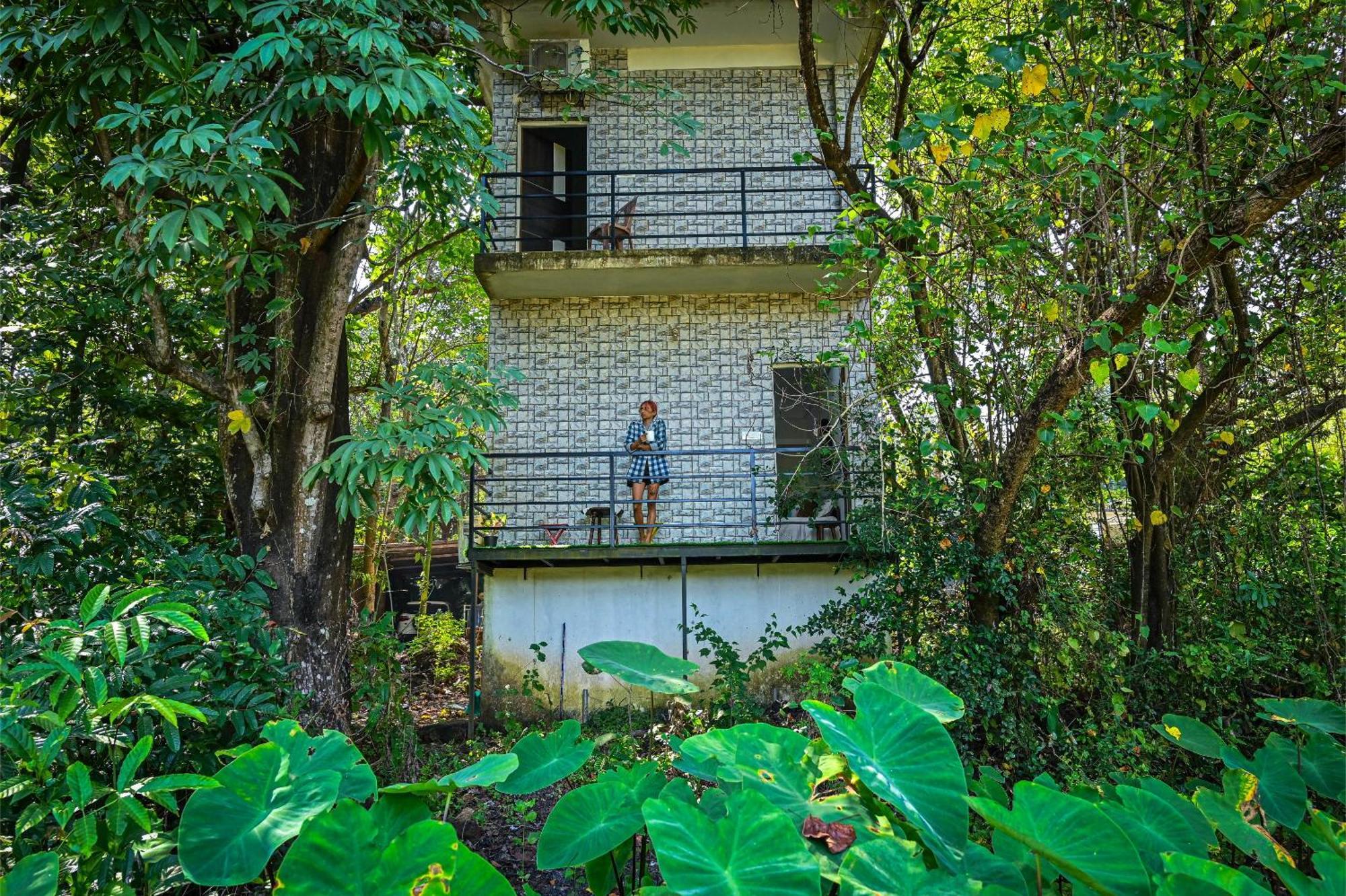 Shell House - Private Stay With Garden View In Arambol Mandrem Dış mekan fotoğraf
